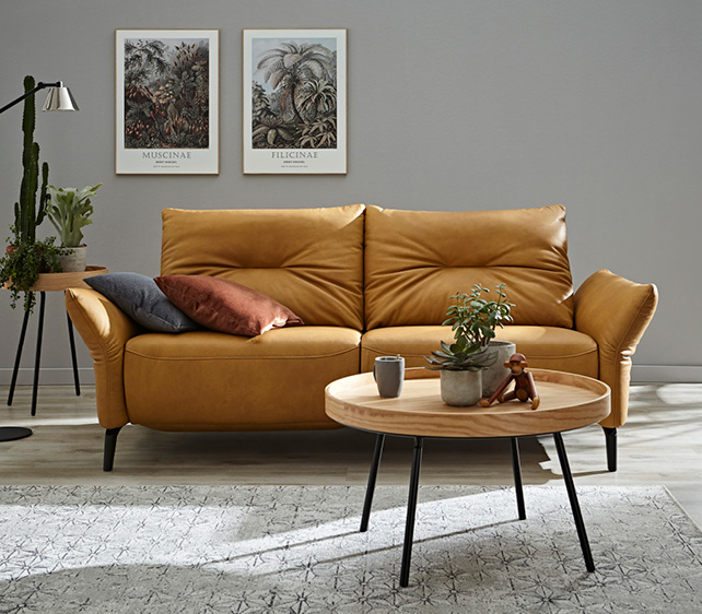 cognacfarbene Couch